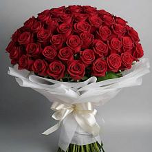 Букет 101 Красная роза Блэк Мэджик в Советском
