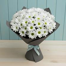 Букет цветов из:  Хризантемы в Советском