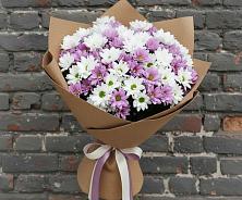 Букет цветов из:  Хризантемы #REPLACE_PRED# Советском