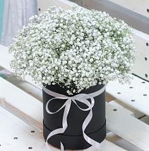 Цветочная композиция из Гипсофила в шляпной коробке #REPLACE_PRED# Советском