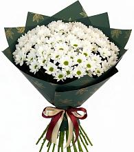 Букет цветов из:  Хризантемы #REPLACE_PRED# Советском