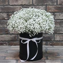 Цветочная композиция из Гипсофила в шляпной коробке в Советском