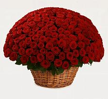 Премиум букет из: Розы в Советском